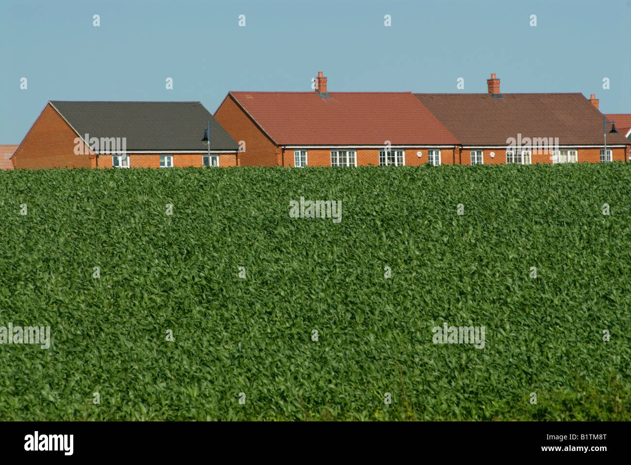 Housing development on greenfield site near Ashford Kent New homes