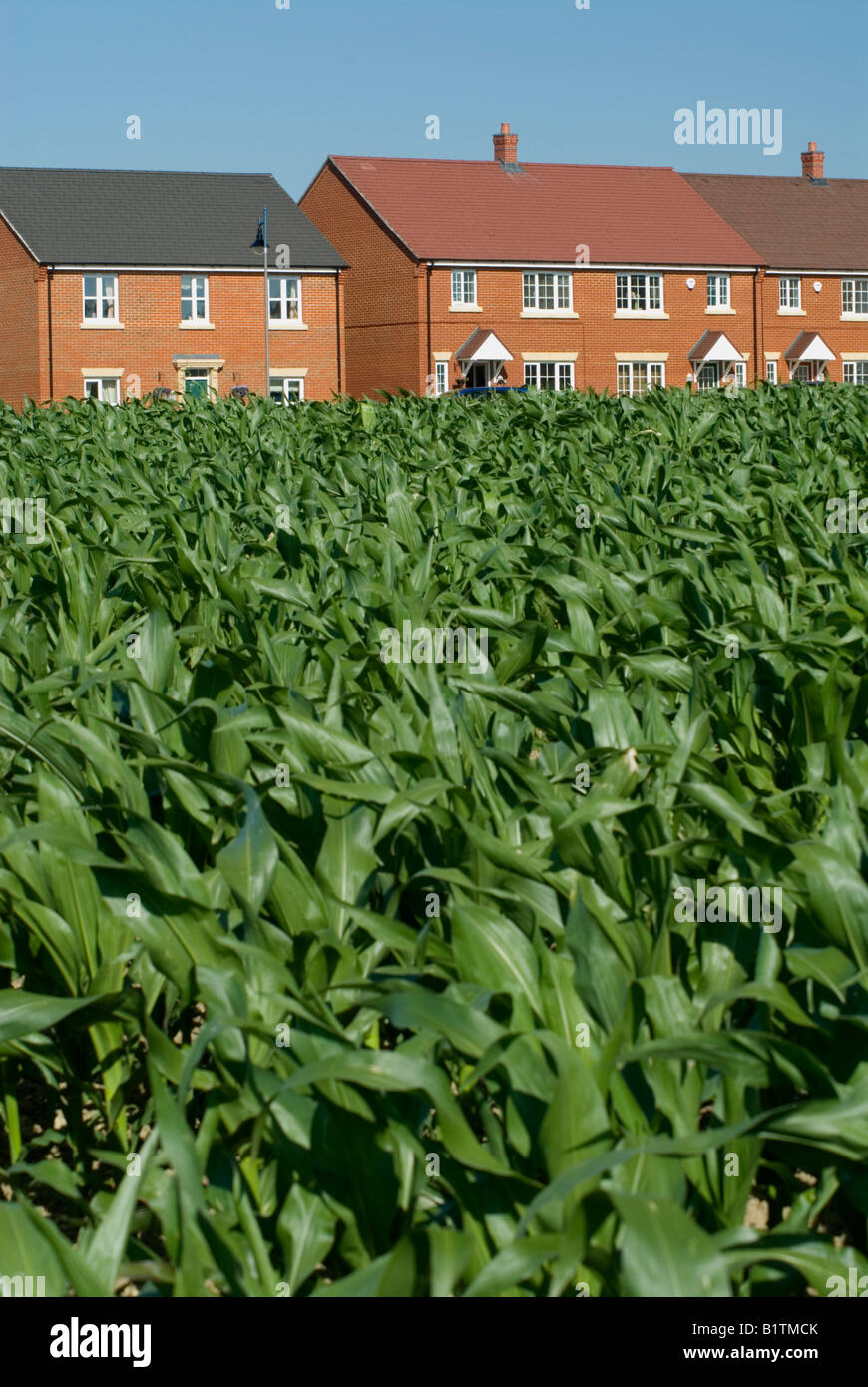 Housing development on greenfield site near Ashford Kent New homes