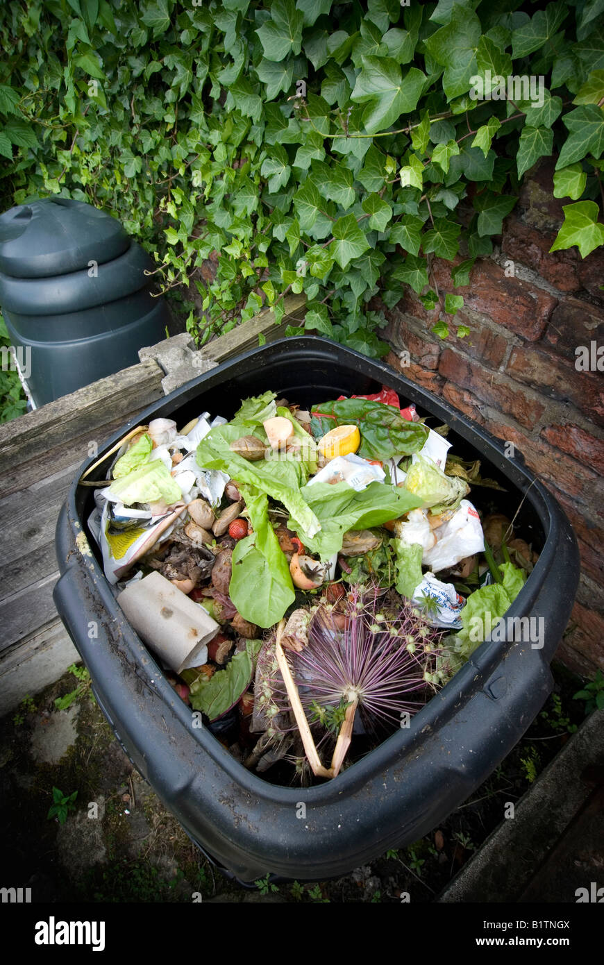 open black plastic compost bin displaying contents Stock Photo Alamy