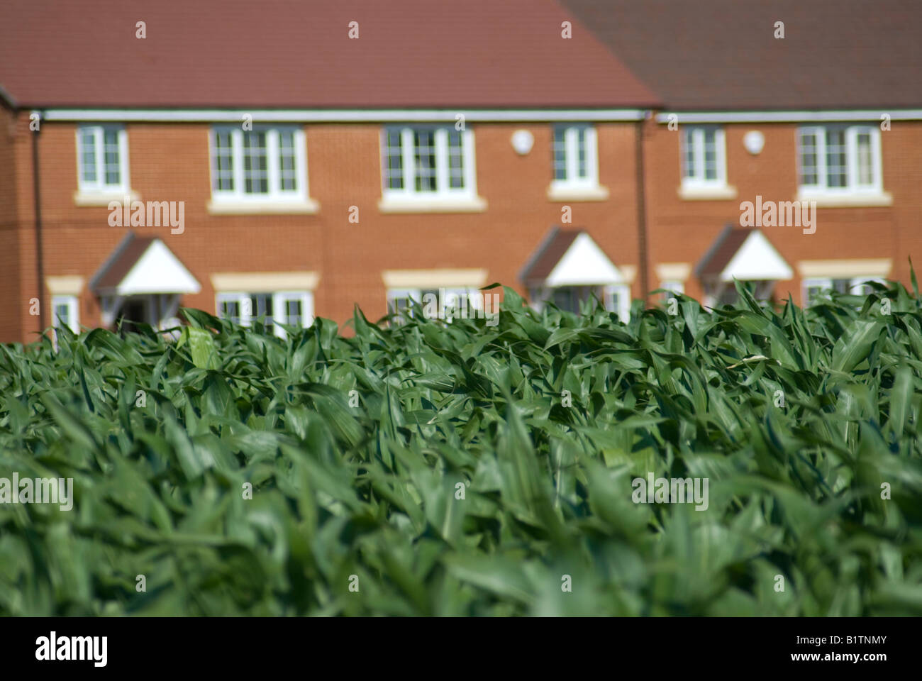 Housing development on greenfield site near Ashford Kent New homes