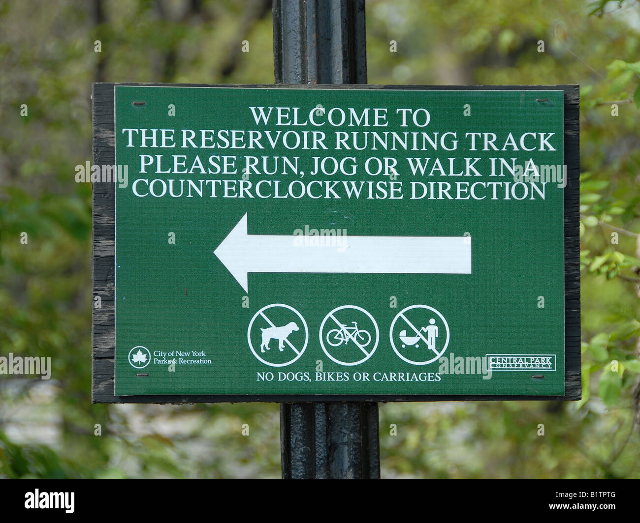 You are most welcome to run, jog or walk in the Central Park of New York. But only in a counterclockwise direction ! Stock Photo
