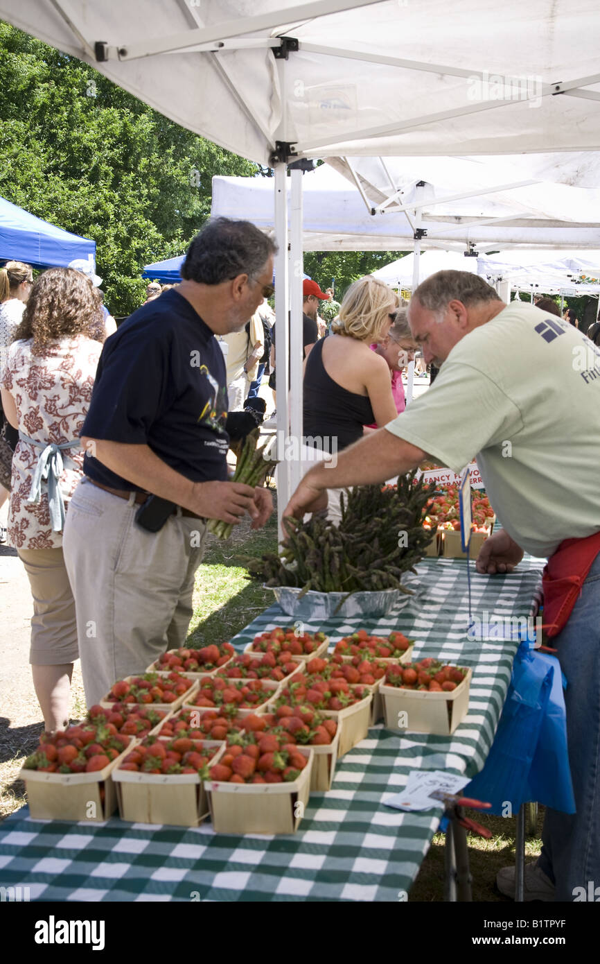 Strawberry seller at the green city market chicago illinois Stock Photo Alamy