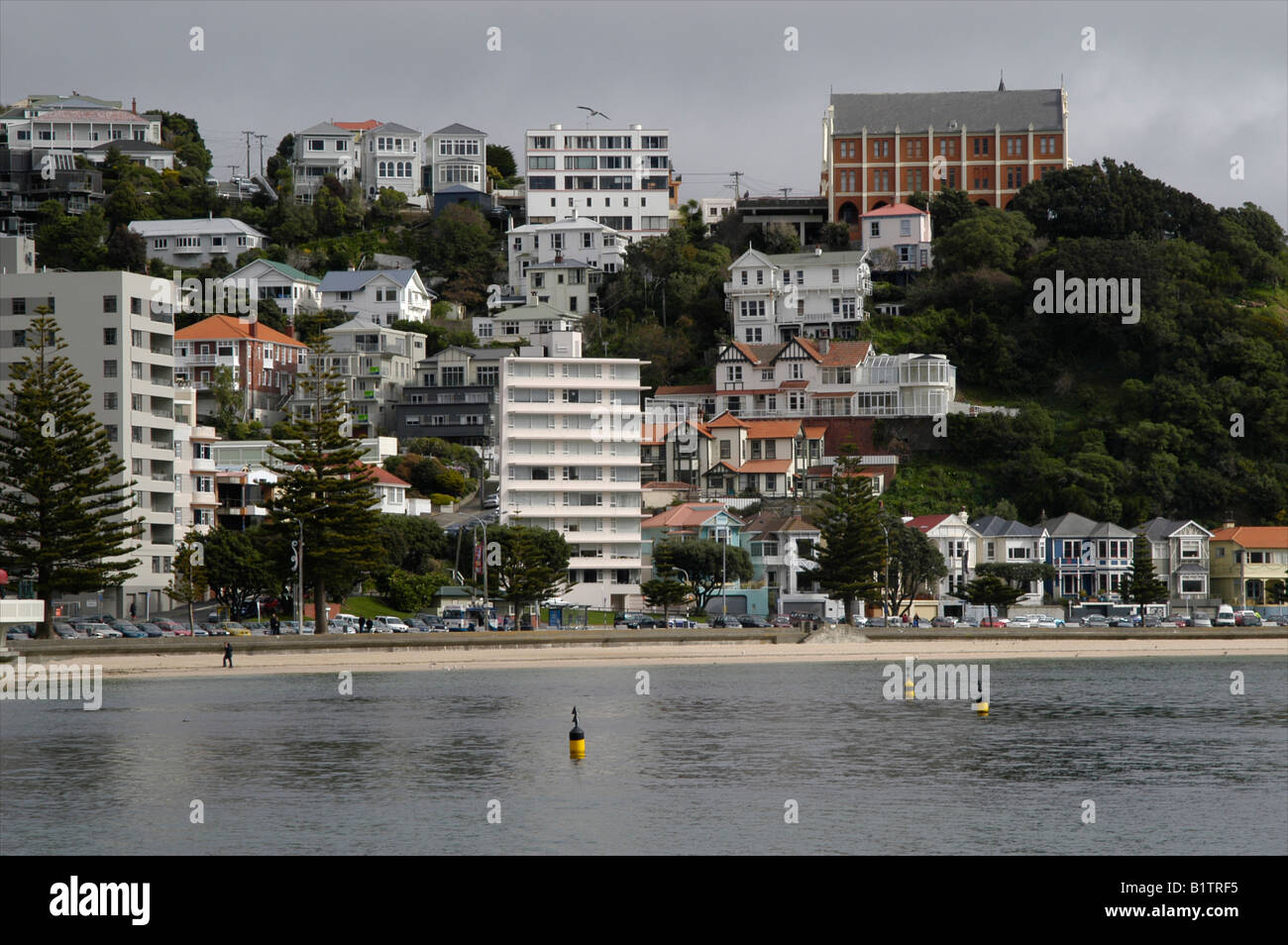Hillside with houses, Oriental Bay, Wellington, New Zealand Stock Photo