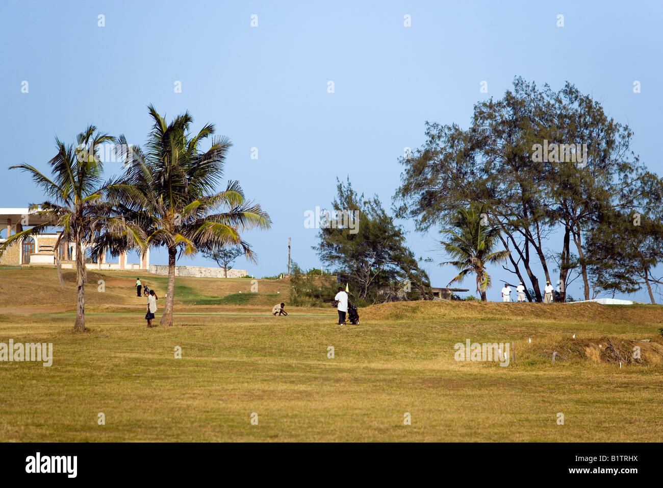 People playing golf Mombasa Kenya Stock Photo Alamy