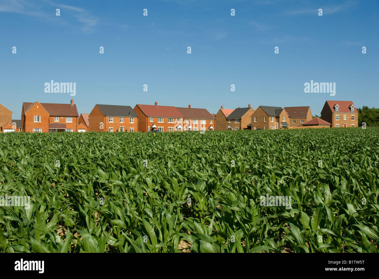 Housing development on greenfield site near Ashford Kent New homes