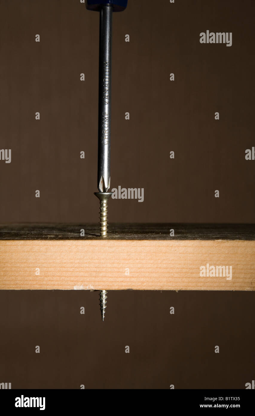 Screwing a screw through wood Stock Photo Alamy