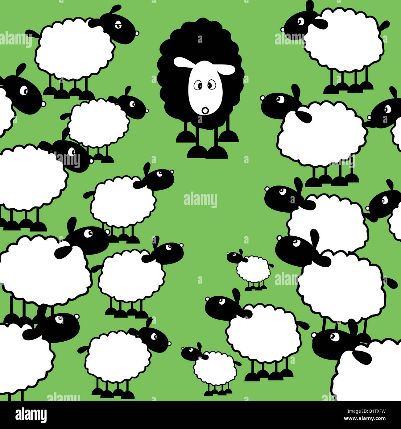 One black sheep amongst lots of white sheep Stock Photo Alamy