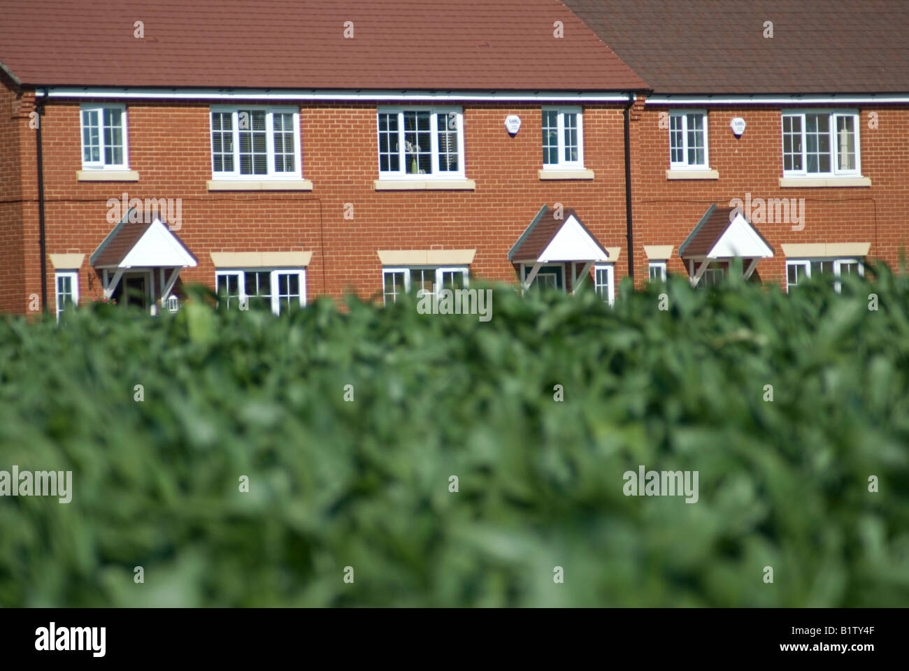 Housing development on greenfield site near Ashford Kent New homes
