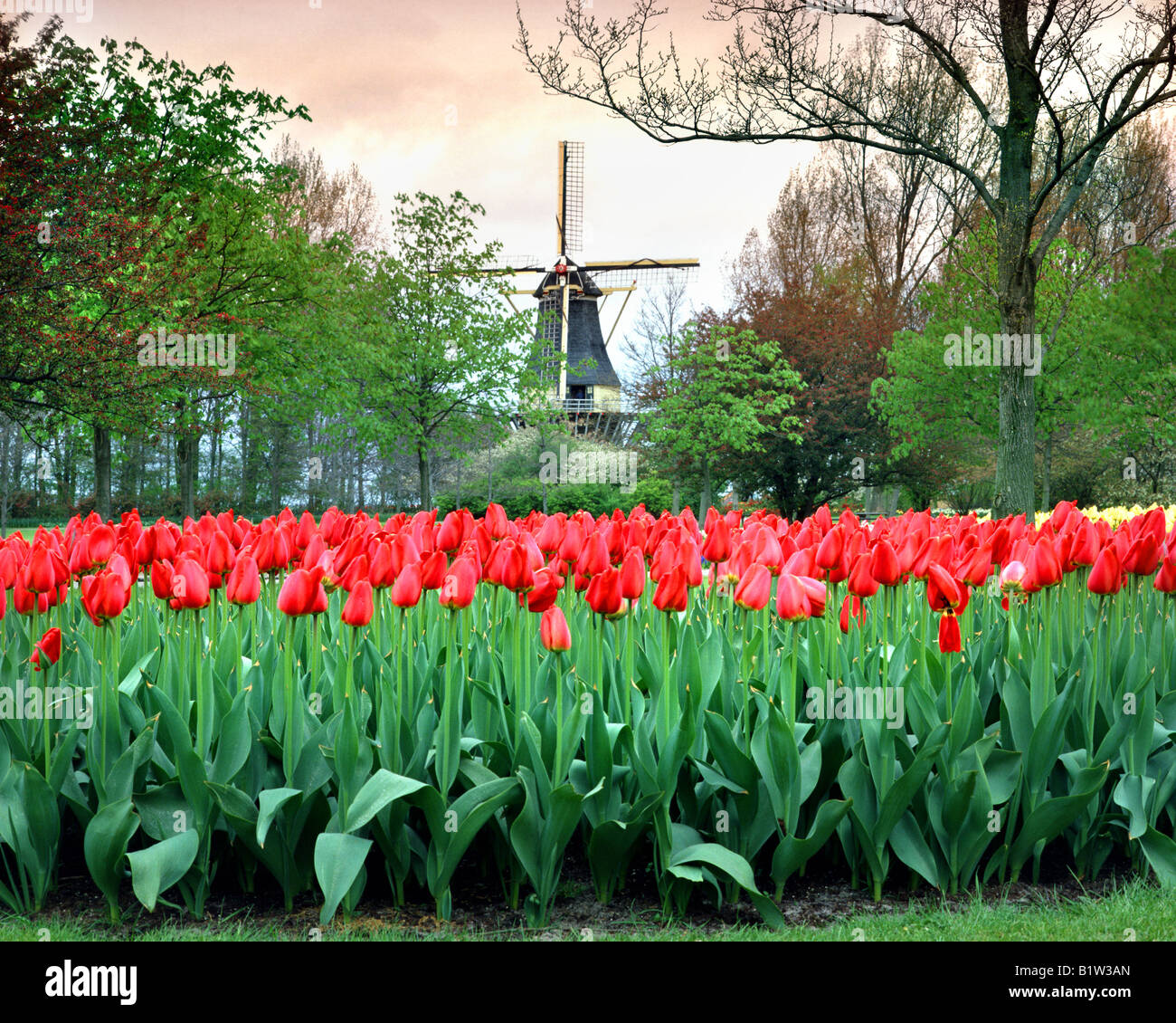 NL - SOUTH HOLLAND: Windmill at the Keukenhof Gardens Stock Photo