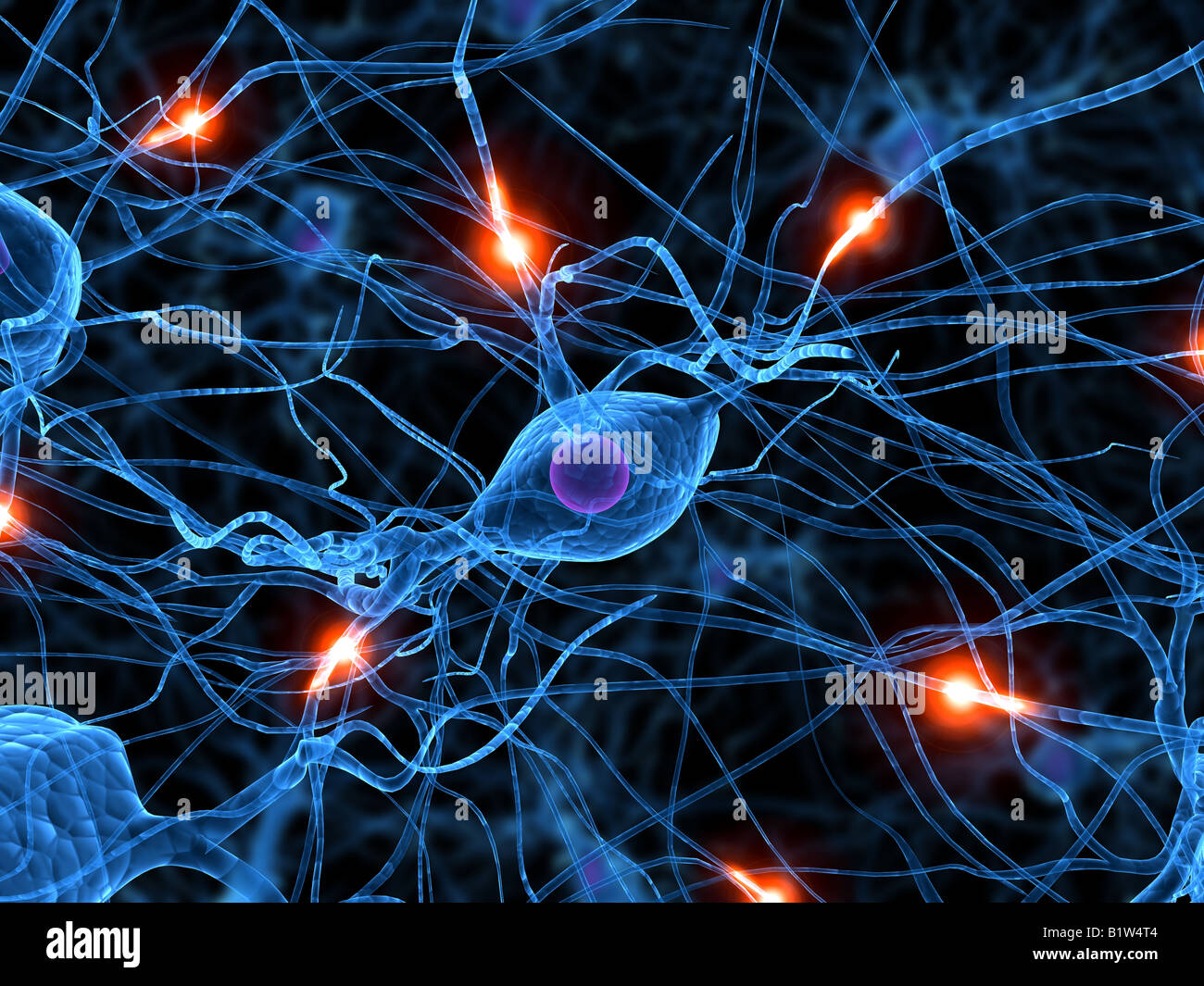 active nerve cell Stock Photo
