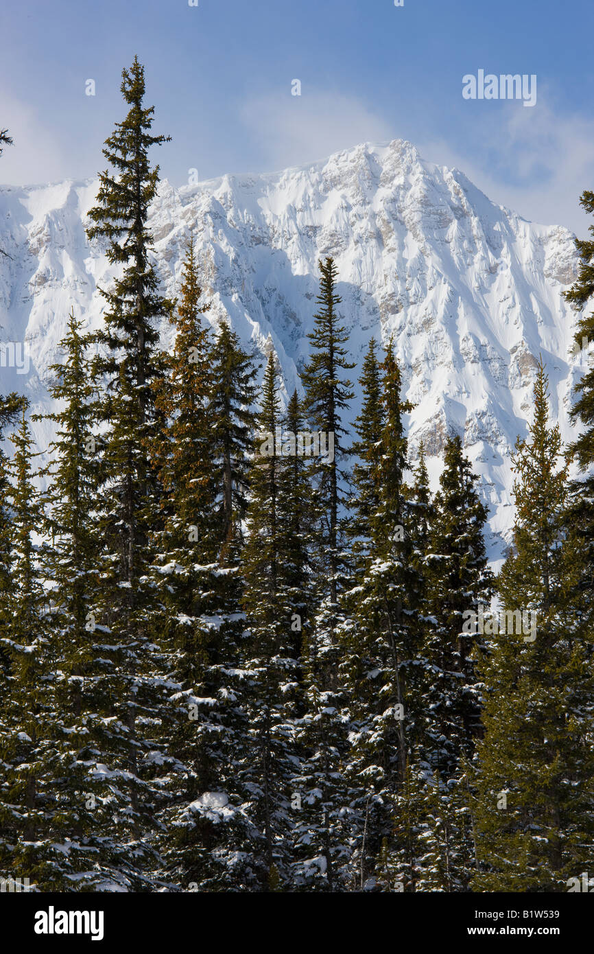 Canada Alberta Banff National park Rocky mountains Stock Photo