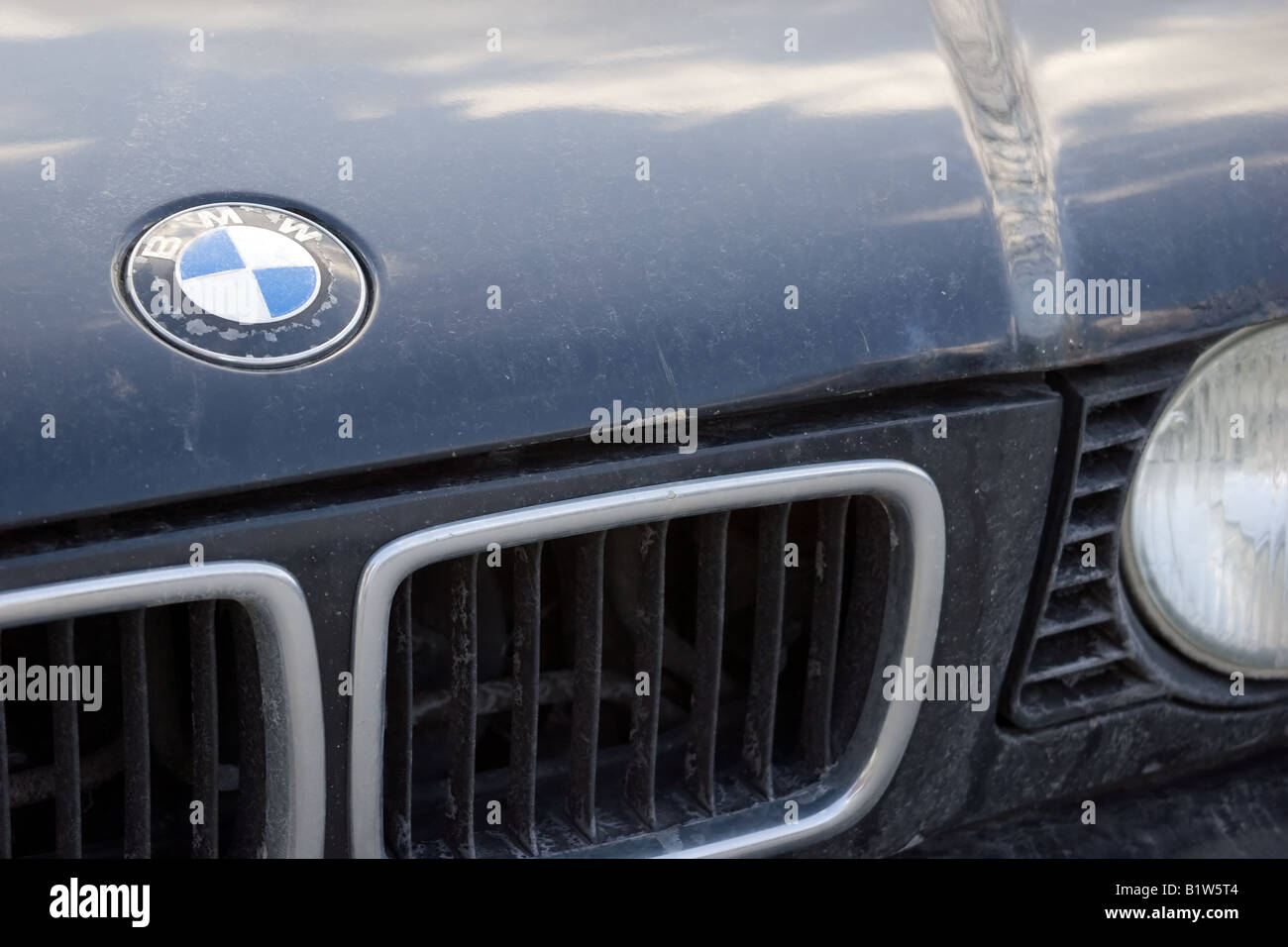 Kidney grille hi-res stock photography and images - Alamy
