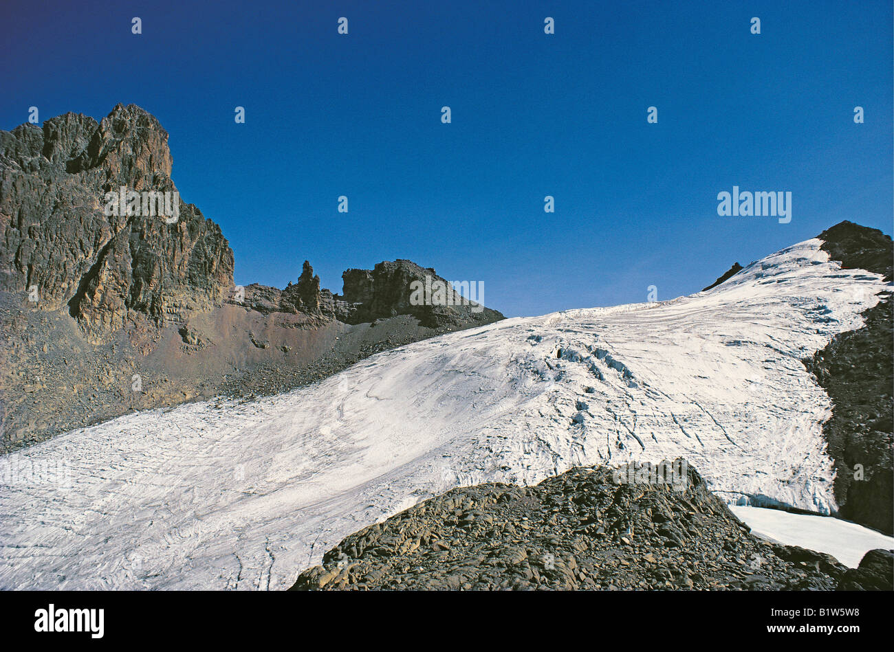 The Lewis glacier on Mount Kenya East Africa Stock Photo Alamy