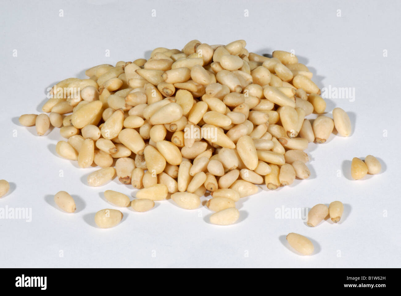 Pine nuts from the stone pine Pinus pinea as sold in health food shops Stock Photo