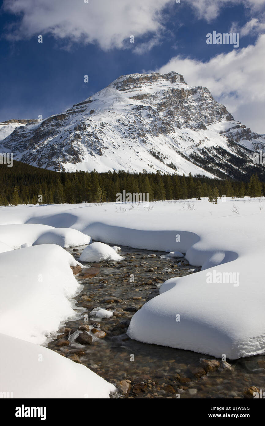 Canada Alberta Banff National Park Icefield parkway mountains viewed over stream Stock Photo