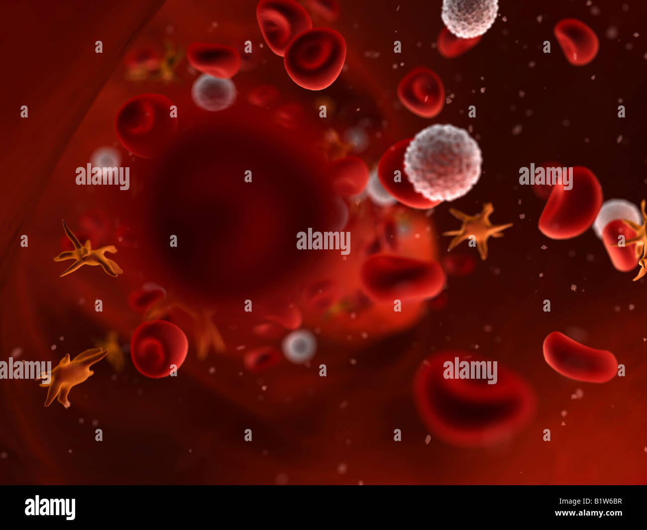 Blood cells hi-res stock photography and images - Alamy