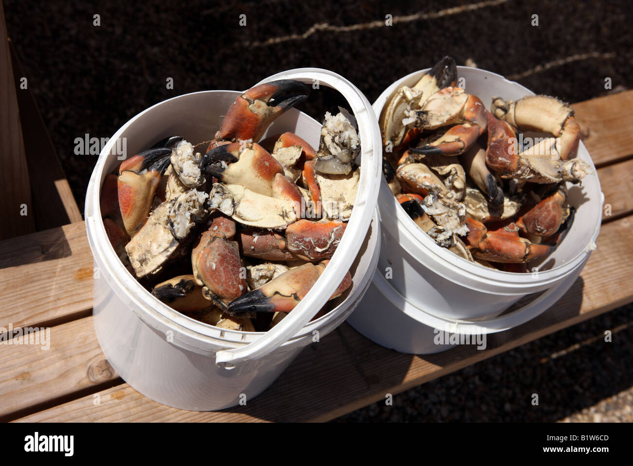 Do not fill crab buckets hires stock photography and images Alamy