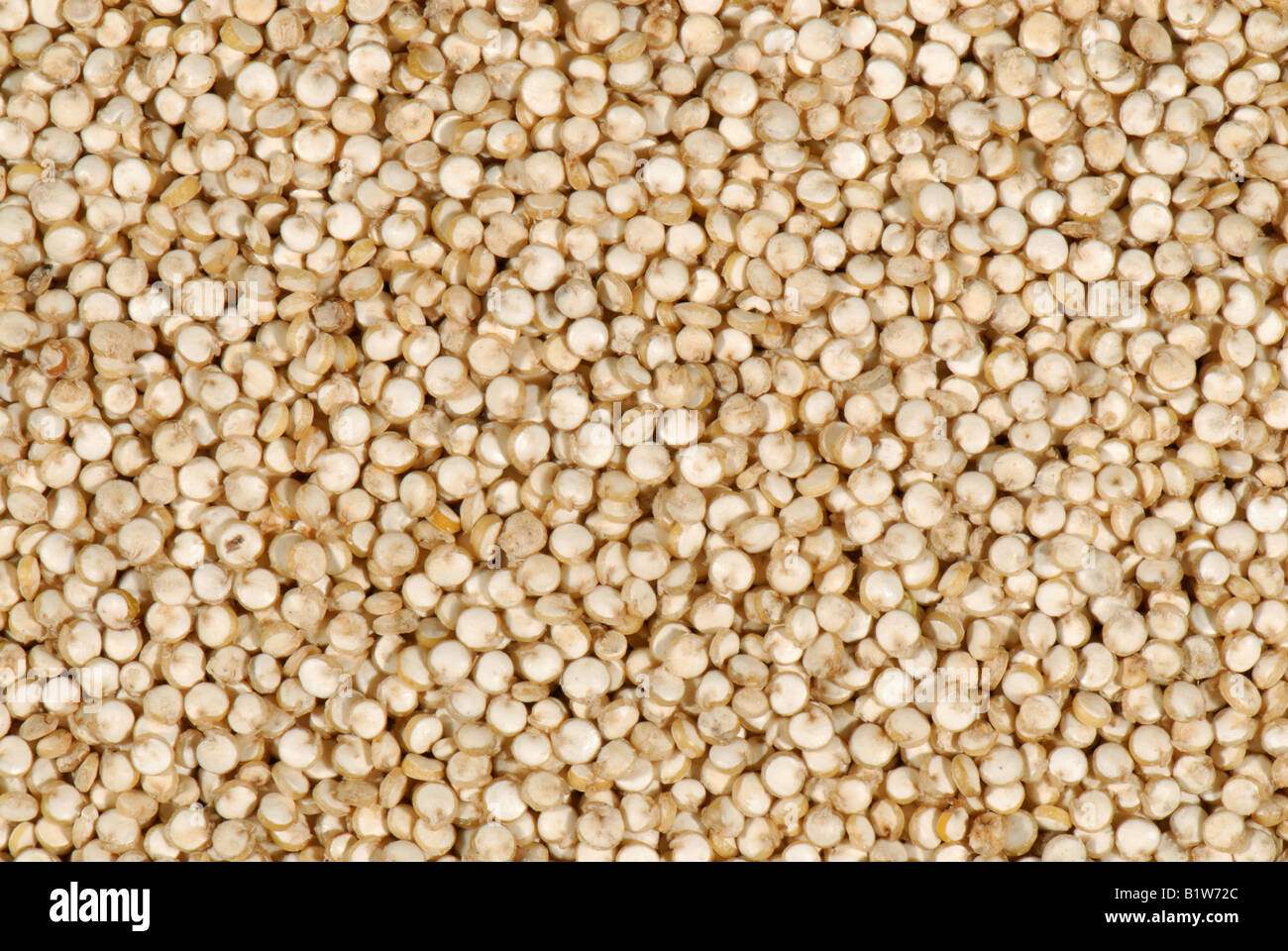 Organic quinoa seeds sold in health food shops Stock Photo