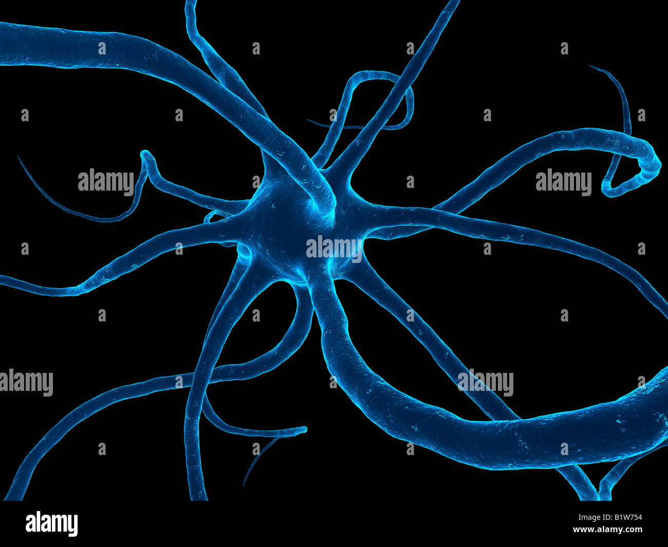 nerve cell Stock Photo