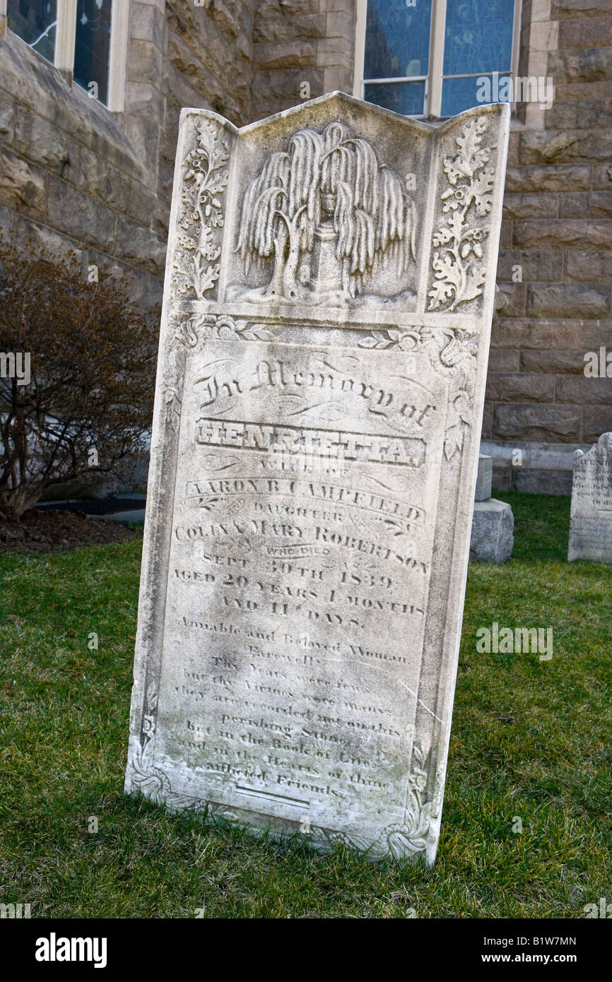 Acid rain hires stock photography and images Alamy