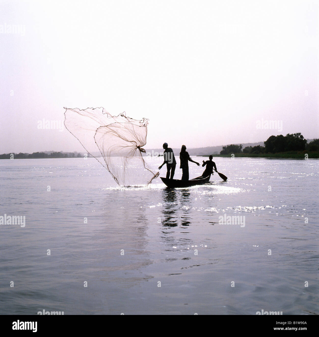 People African men fishing with cast net in the congo River Central African  Republic indigenous People African men fishing trave Stock Photo - Alamy