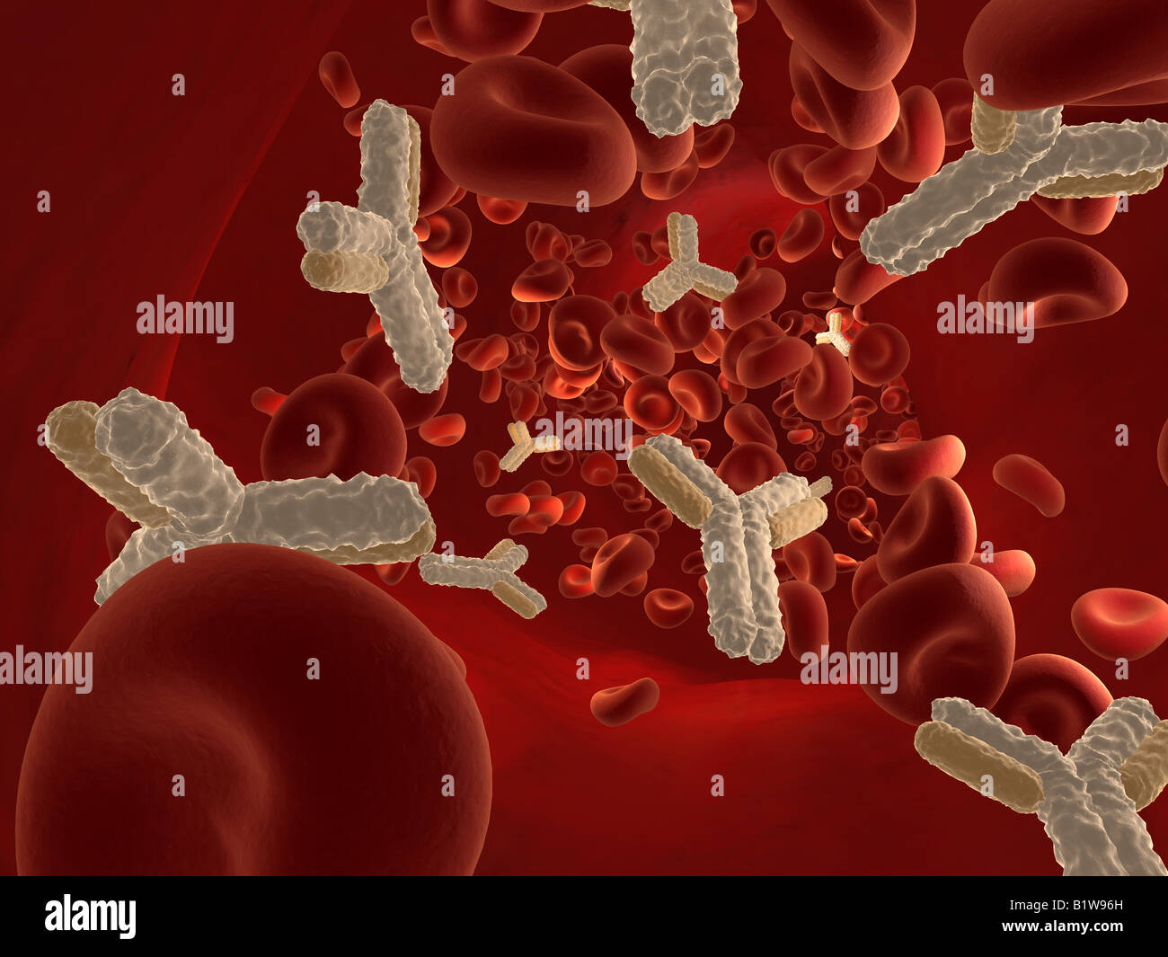 Red cell antibodies hires stock photography and images Alamy