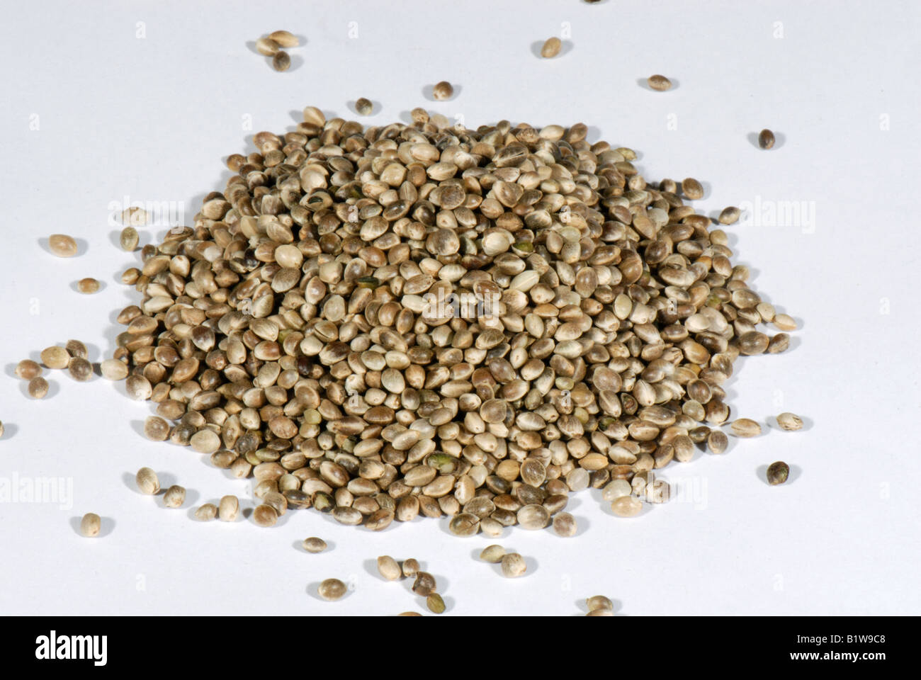 Organic hemp seed Cannabis sativa kitchen igredient sold in health food shops Stock Photo