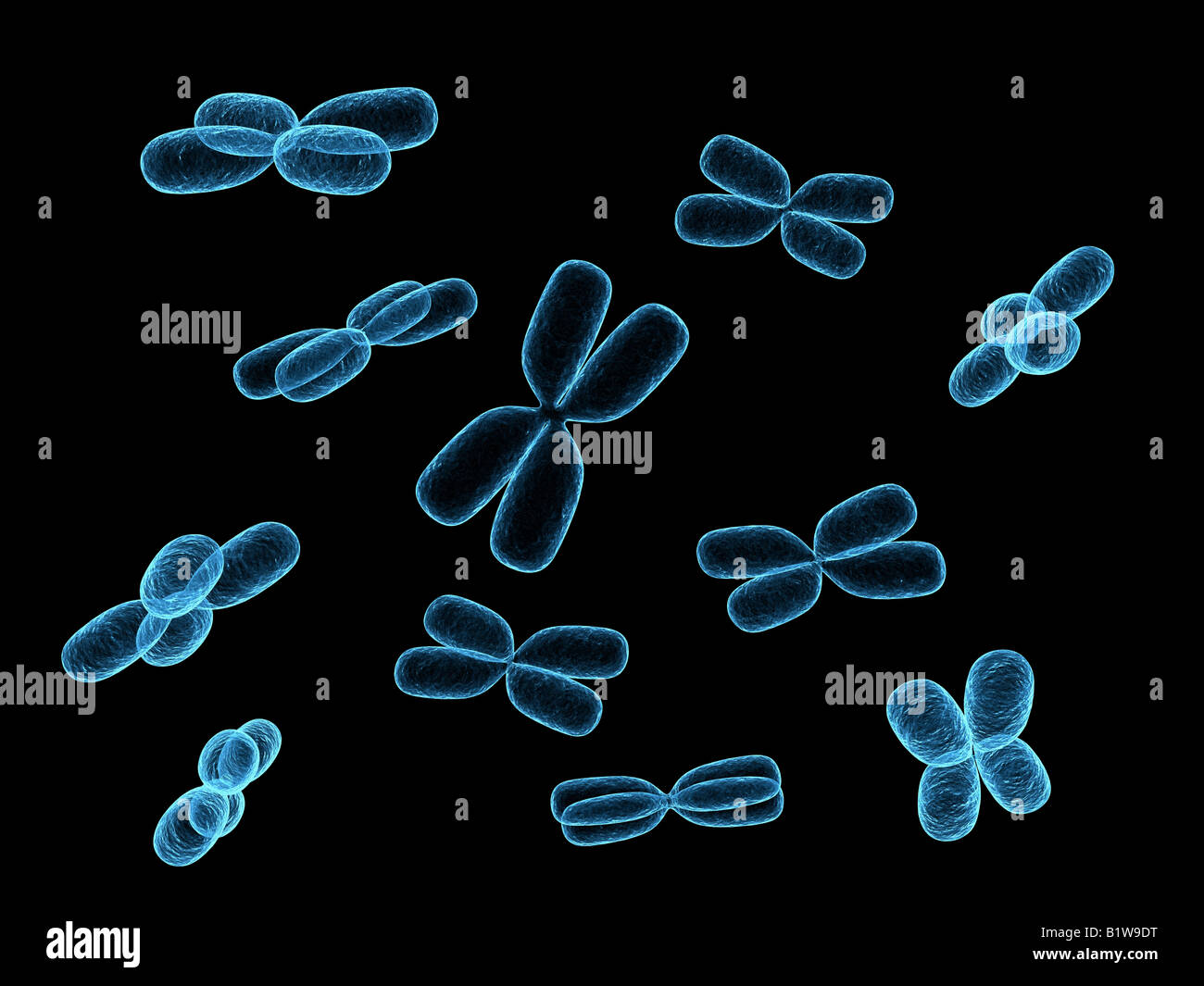 x chromosomes Stock Photo