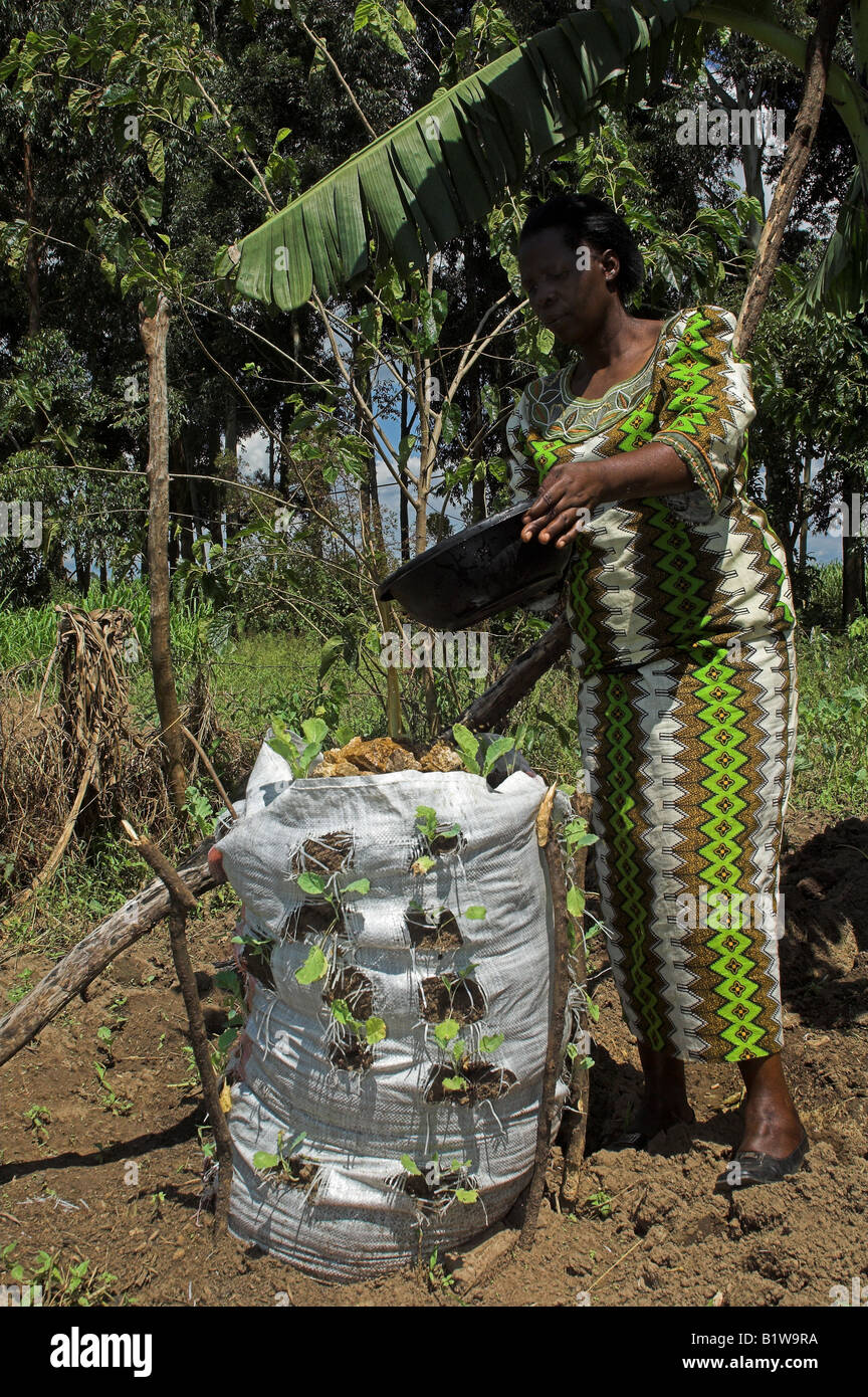 African woman in brightly coloured clothes watering Bag Garden designed