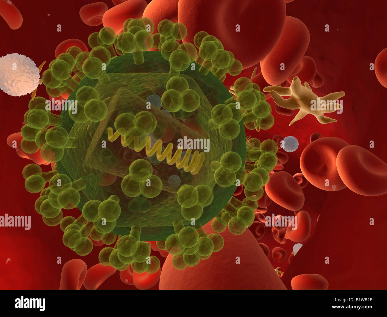 Genetic virus hi-res stock photography and images - Alamy