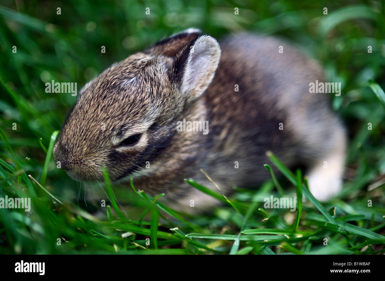 Old young hi-res stock photography and images - Alamy