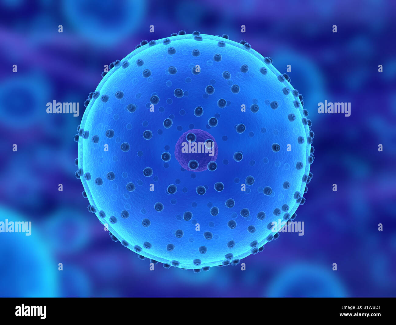 human cell Stock Photo