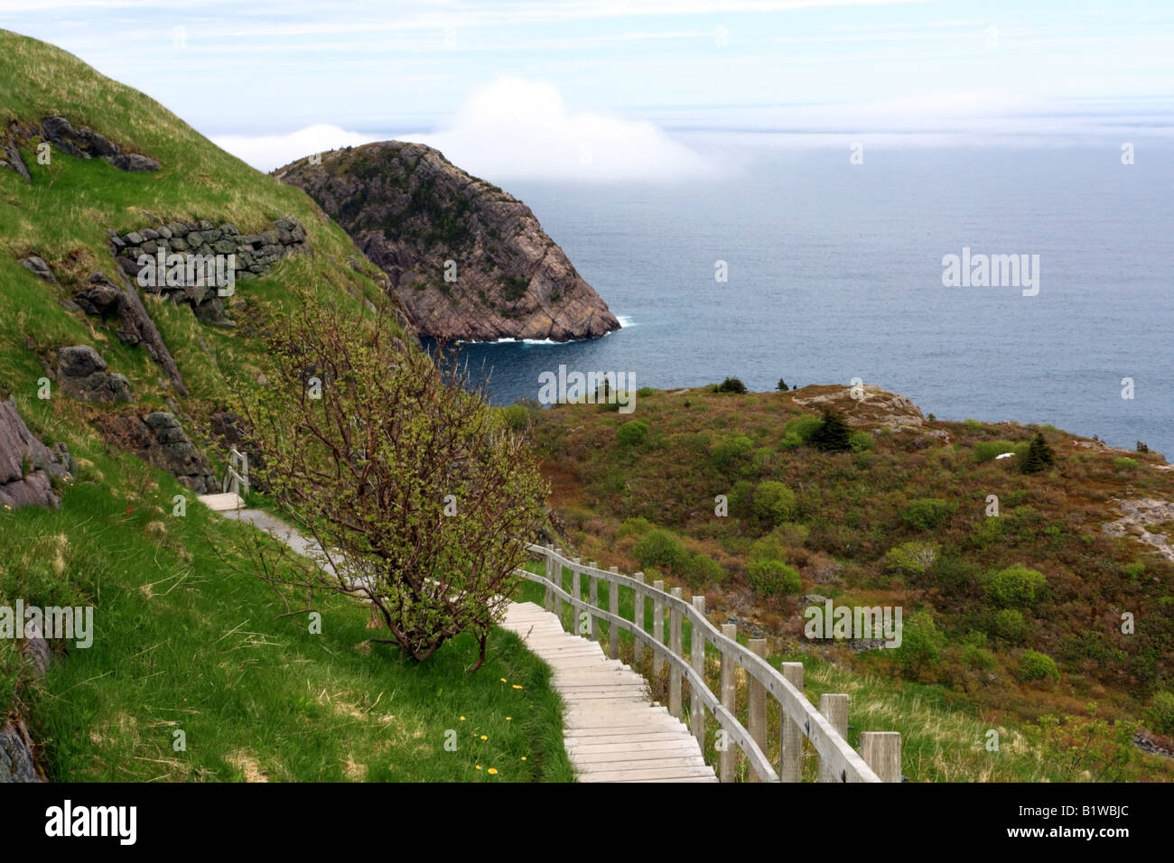 Hiking trail on Signal Hill in St John's, Newfoundland Stock Photo Alamy