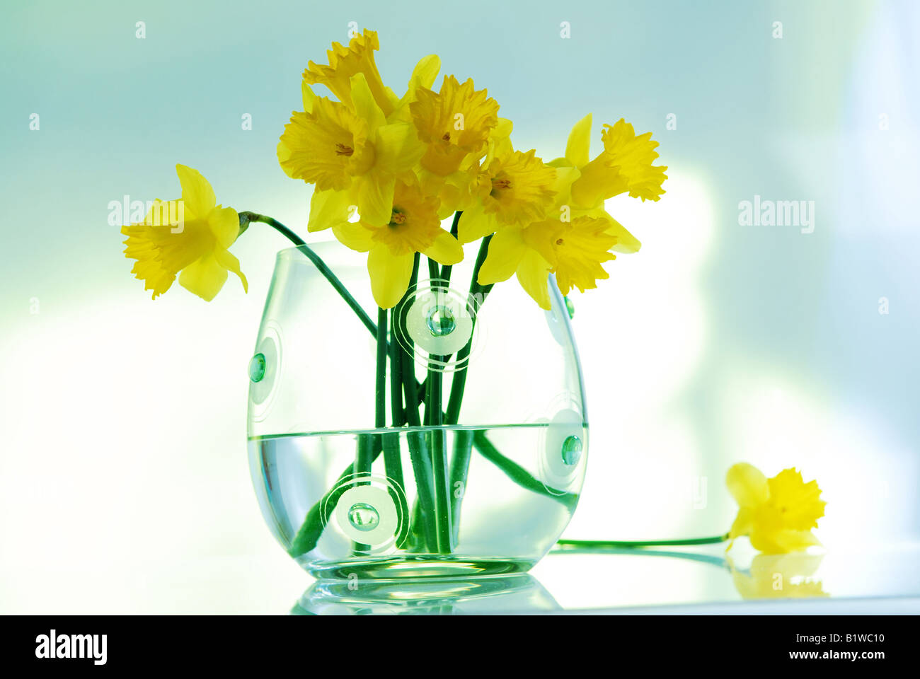 Flowers, daffodil, art, natural design, fresh boquet, home, lifestyle Stock  Photo - Alamy