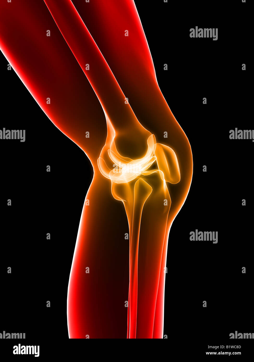 painful knee Stock Photo