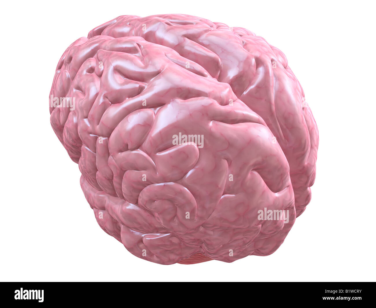 Understanding human hi-res stock photography and images - Alamy