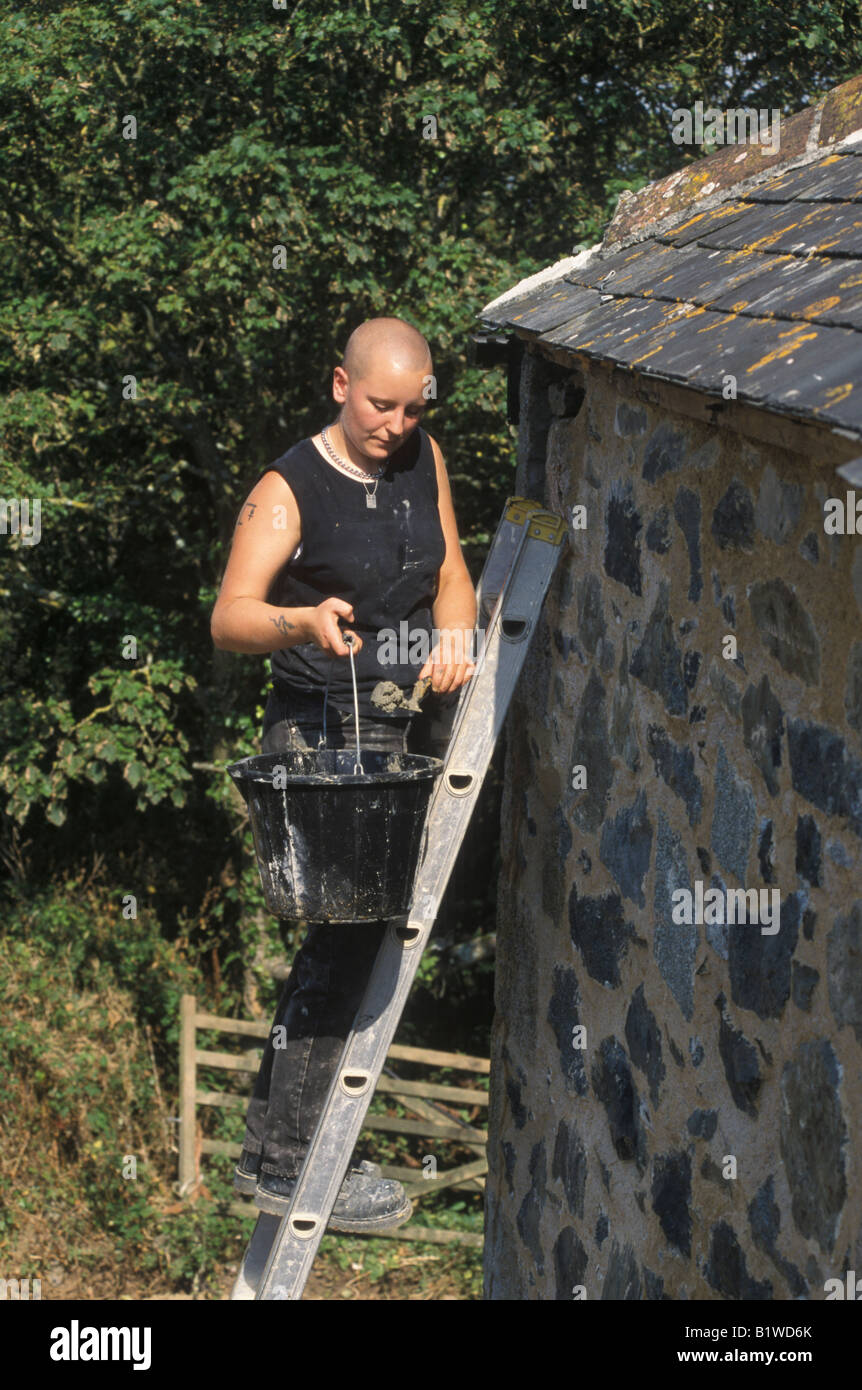 female builder on a ladder pointing a cottage Stock Photo