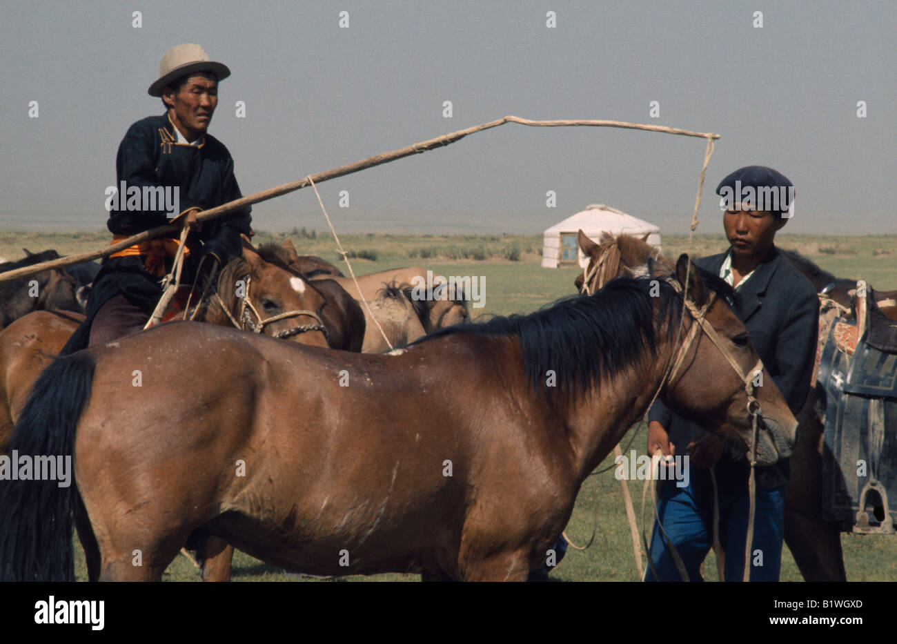 MONGOLIA Gobi Desert Biger Negdel Stock Photo