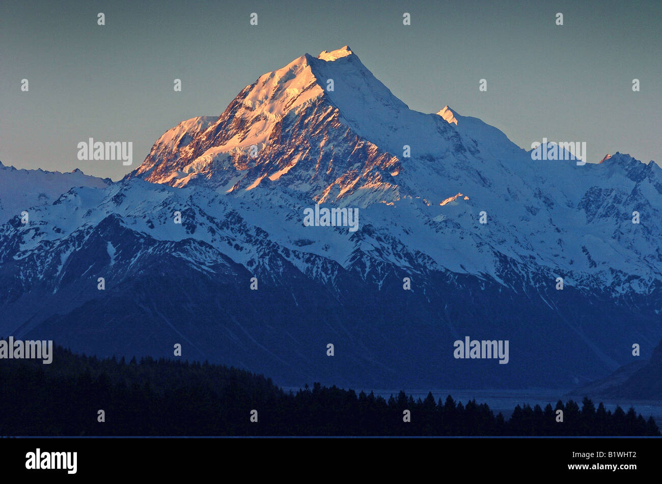 NEW ZEALAND SOUTH ISLAND WEST COAST Stock Photo Alamy