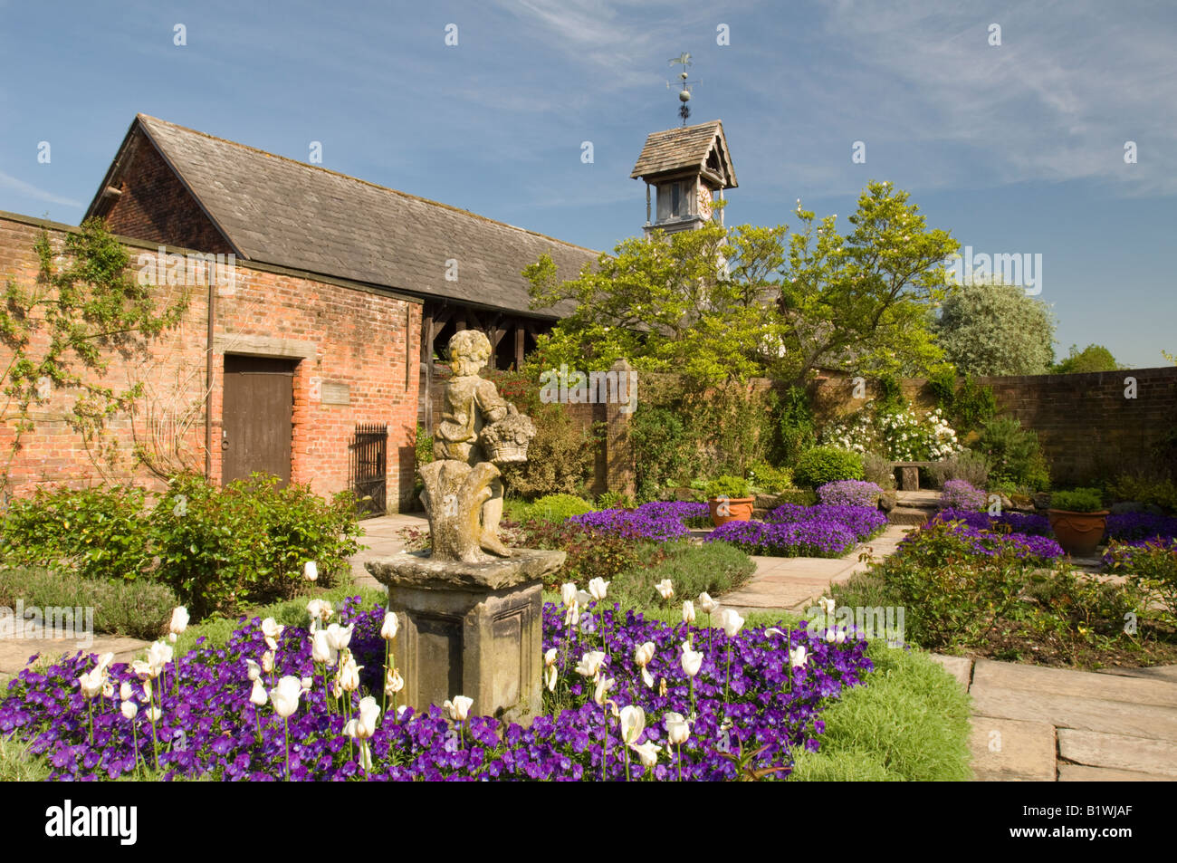 Violets and Tulips surround a Garden Statue in the Flag Garden, Arley, Hall, Arley, Cheshire, England, UK Stock Photo