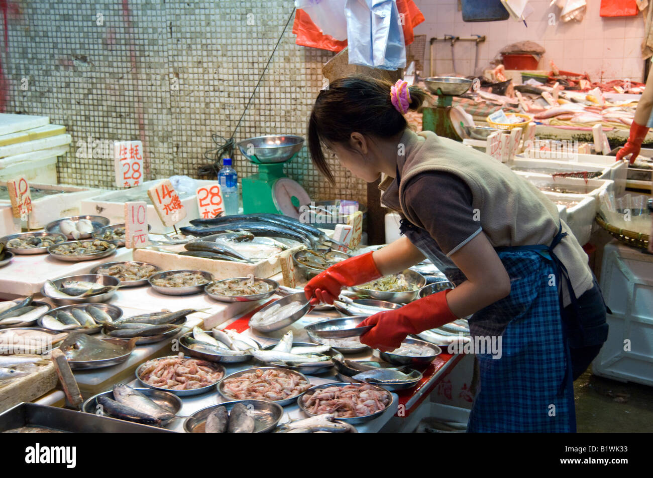 Fish Market Stall, Win Chai Market, Hong Kong Island, Hong Kong, China, Asia Stock Photo