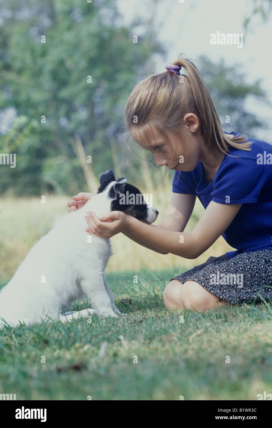 little girl training a puppy Stock Photo Alamy