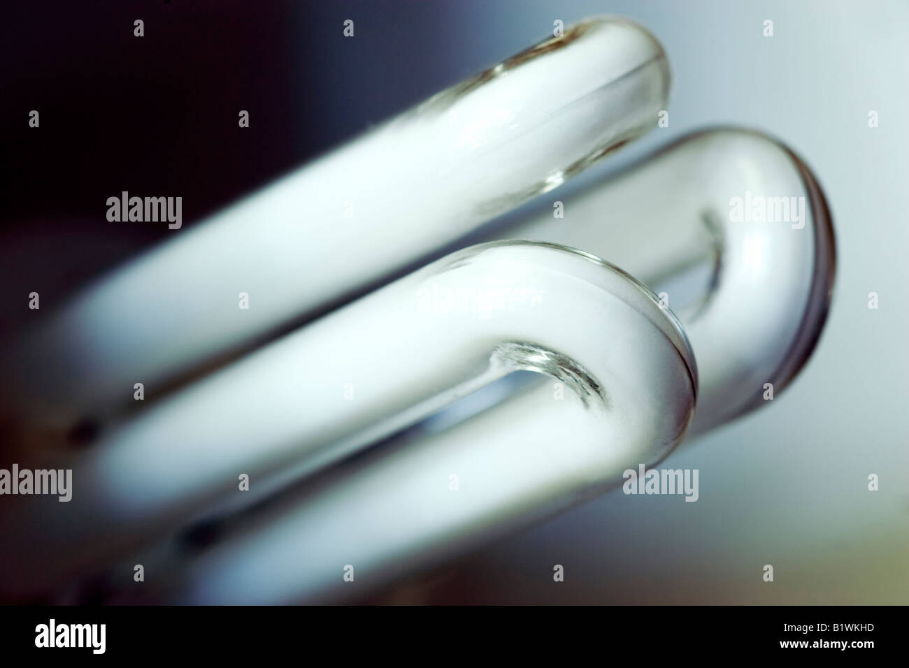 An energy saving light bulb Stock Photo - Alamy