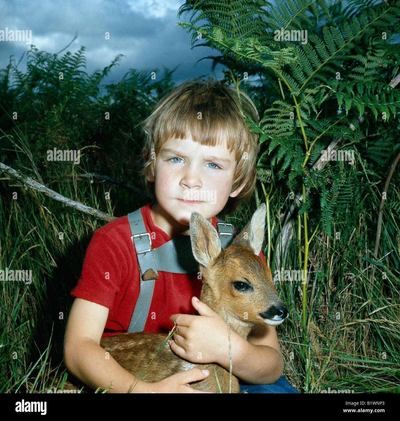 jeune enfant avec un faon de chevreuil Young child with a fawn deer animal animals child children children and animals curious E Stock Photo