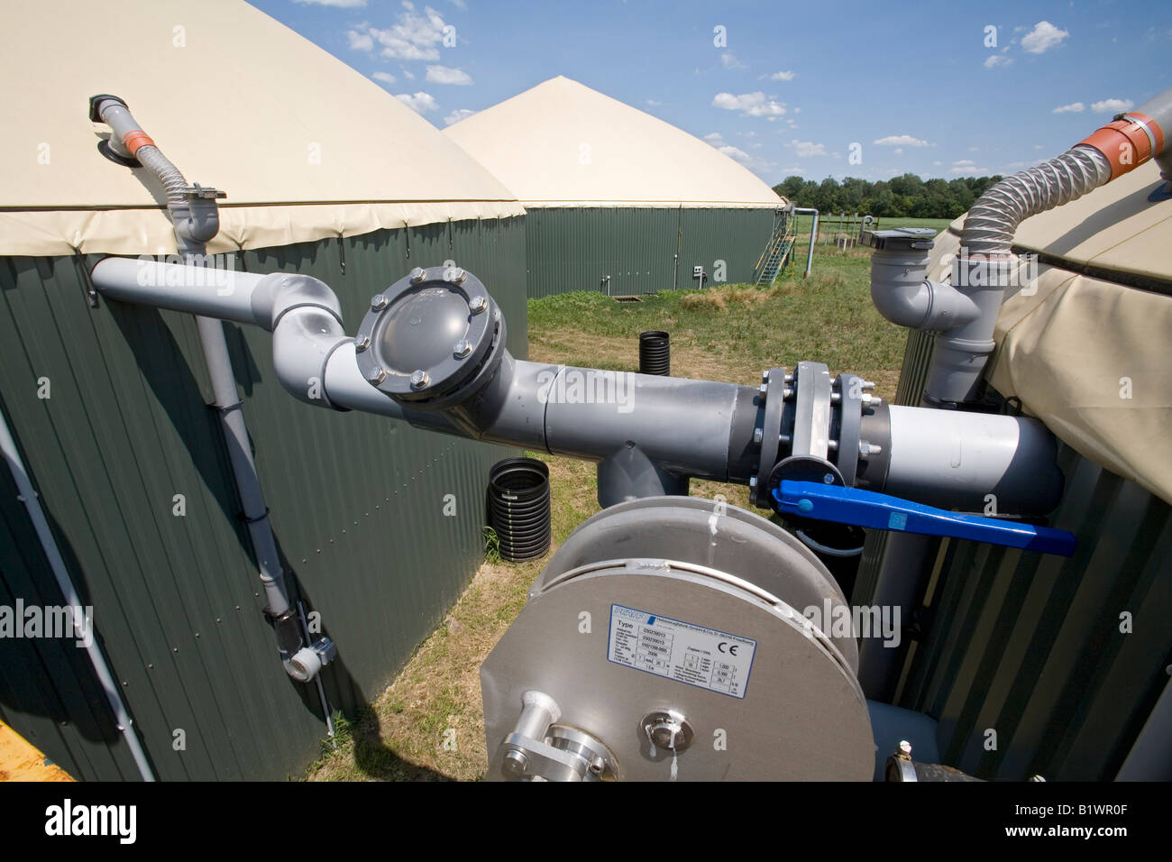 Cow Manure Is Collected to Extract Methane Gas to Produce Electricity