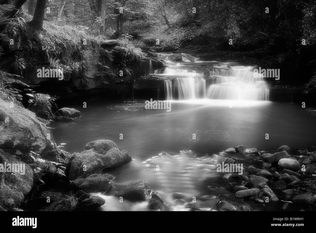 Goit Stock waterfall at Harden, near Bradford West Yorkshire Stock