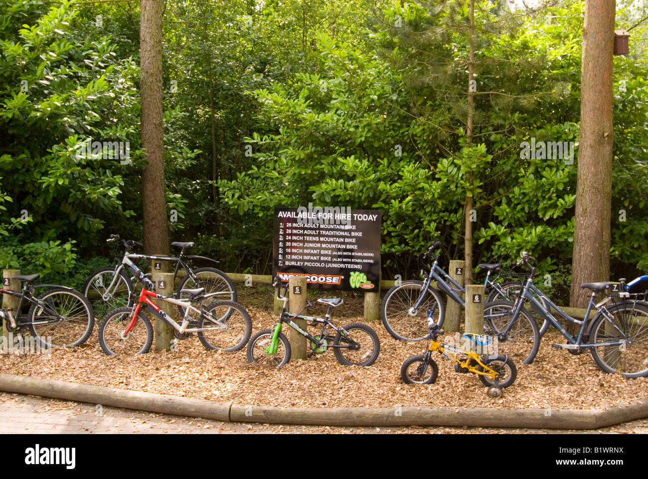 Cycle hire centre parcs hires stock photography and images Alamy