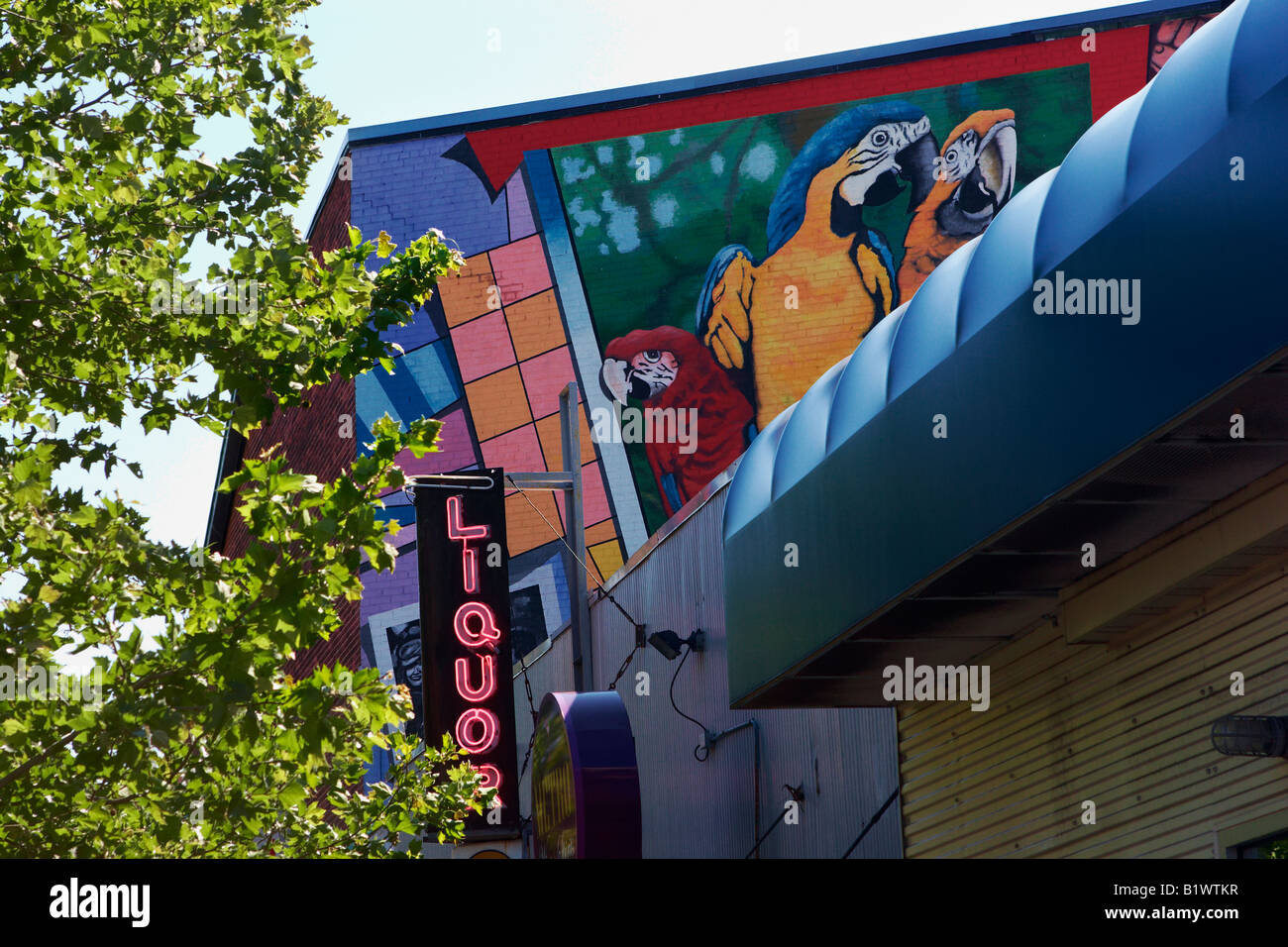A contemporary mural in the culturally diverse Adams Morgan ...