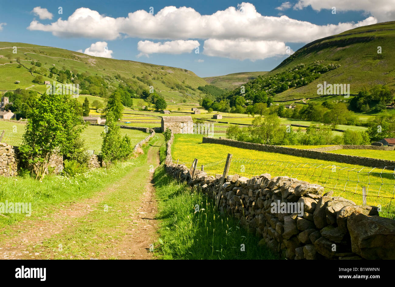 Stone Barns and Wildflower Meadows backed by Kisdon Hill, Near Muker, Swaledale, Yorkshire Dales National Park, England, UK Stock Photo