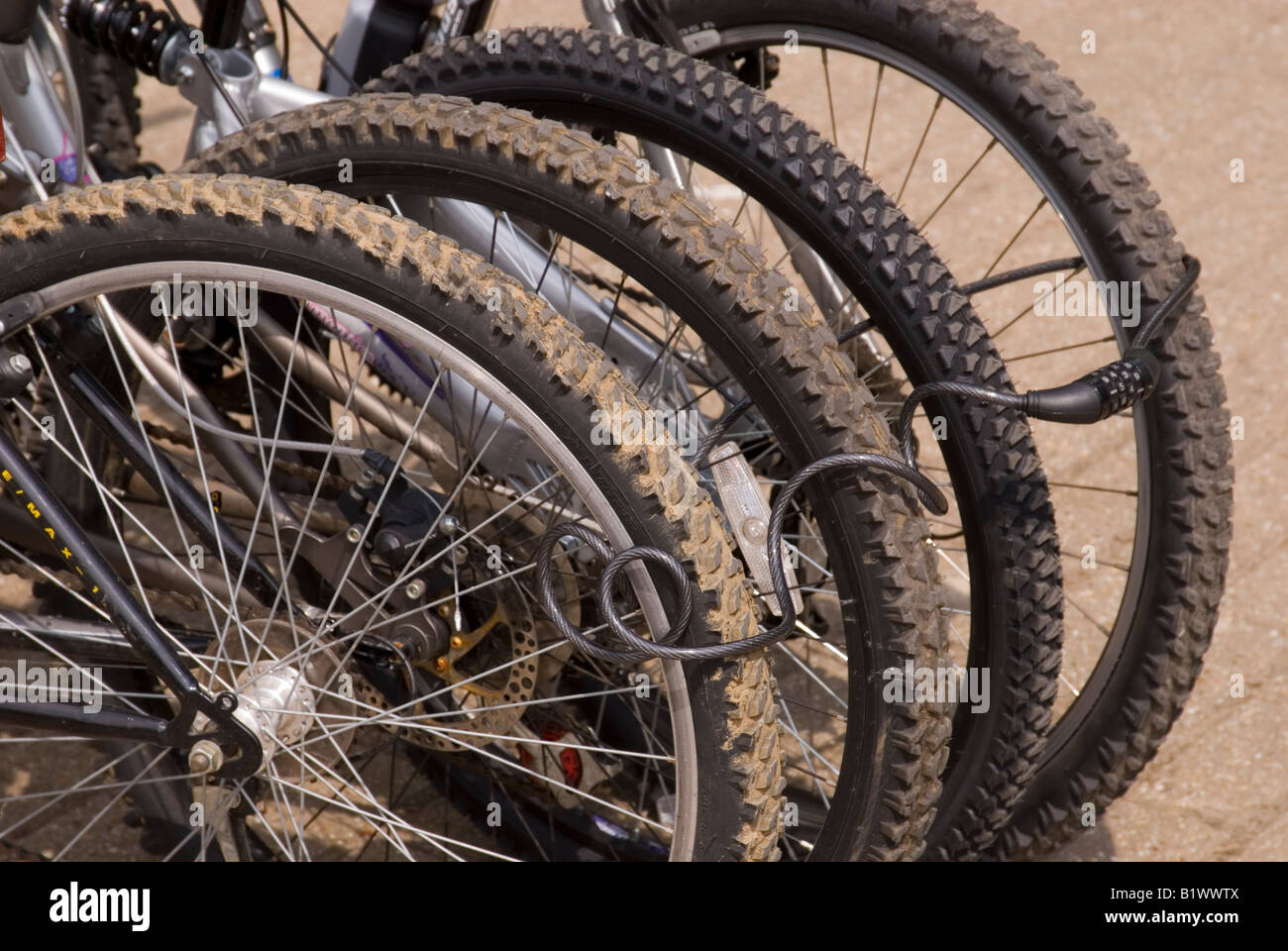 Locked Bike Wheels Stock Photo Alamy